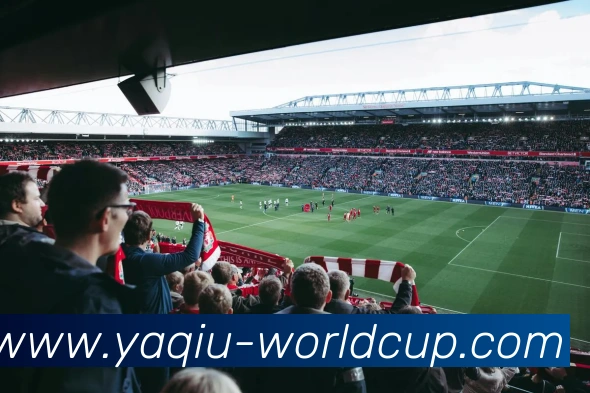 世界杯押球发展历程